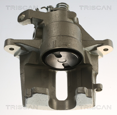 TRISCAN 8175 28121 Bremssattel