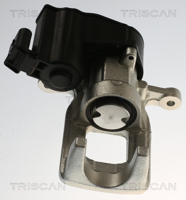 TRISCAN 8175 28234 Bremssattel