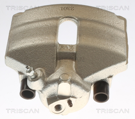 TRISCAN 8175 29101 Bremssattel
