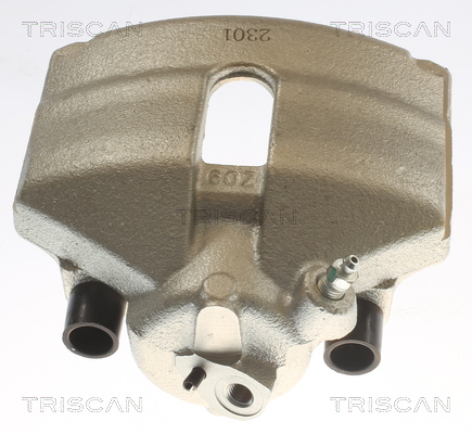 TRISCAN 8175 29102 Bremssattel