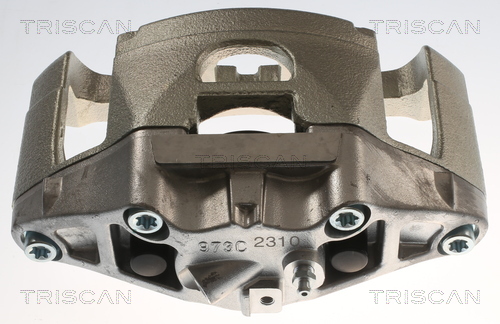 TRISCAN 8175 29119 Bremssattel