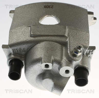 TRISCAN 8175 29130 Bremssattel
