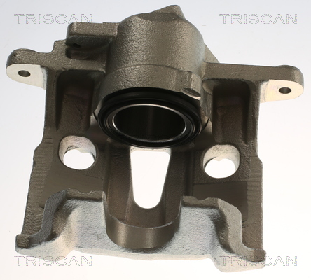 TRISCAN 8175 29161 Bremssattel