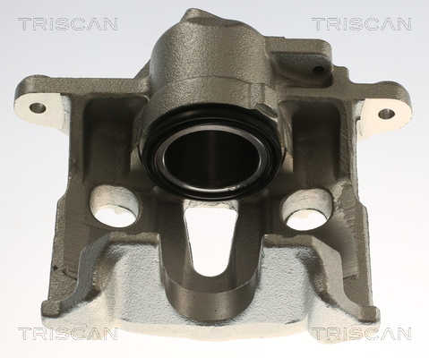 TRISCAN 8175 29162 Bremssattel