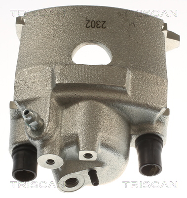 TRISCAN 8175 29165 Bremssattel