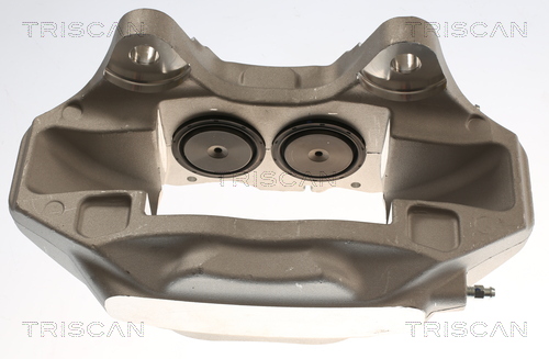 TRISCAN 8175 29174 Bremssattel