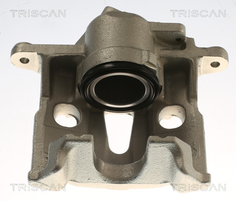 TRISCAN 8175 29176 Bremssattel