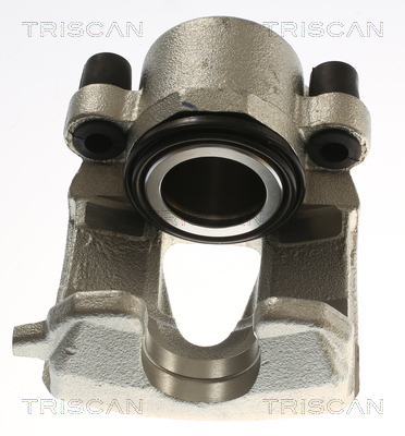 TRISCAN 8175 29180 Bremssattel