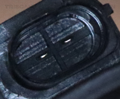 TRISCAN 8175 292008 Bremssattel