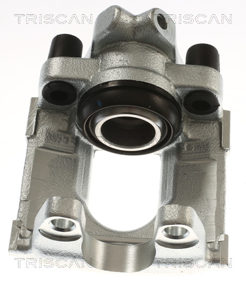 TRISCAN 8175 292015 Bremssattel