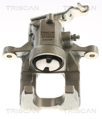 TRISCAN 8175 29208 Bremssattel