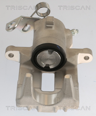 TRISCAN 8175 29209 Bremssattel