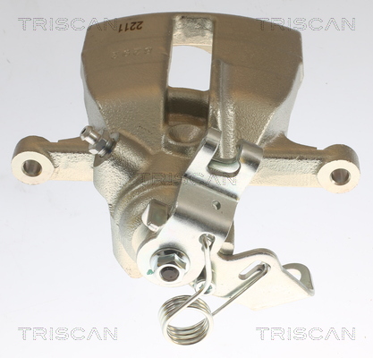 TRISCAN 8175 29220 Bremssattel