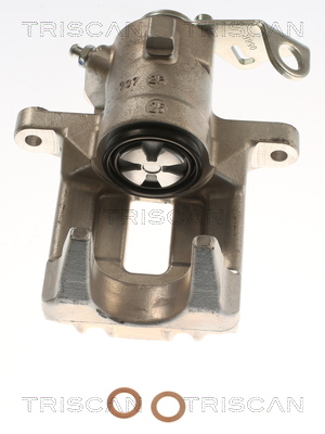 TRISCAN 8175 29222 Bremssattel