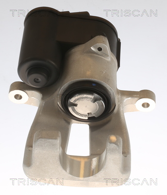 TRISCAN 8175 29223 Bremssattel