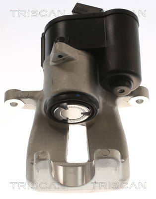 TRISCAN 8175 29224 Bremssattel