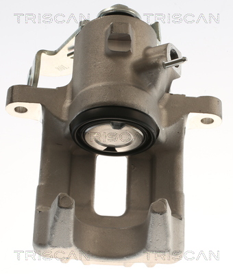 TRISCAN 8175 29225 Bremssattel