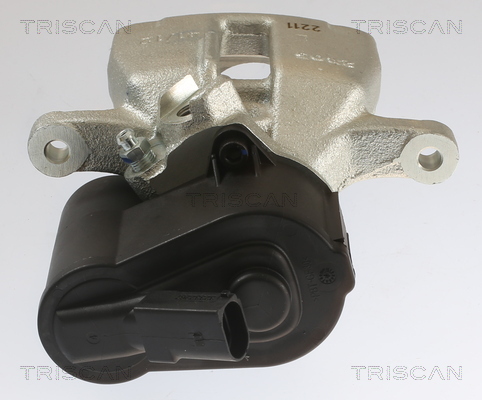 TRISCAN 8175 29231 Bremssattel
