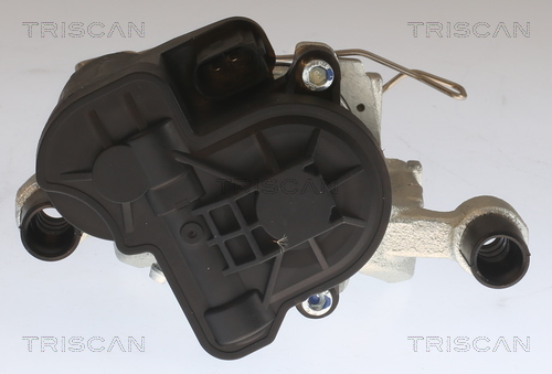 TRISCAN 8175 29240 Bremssattel