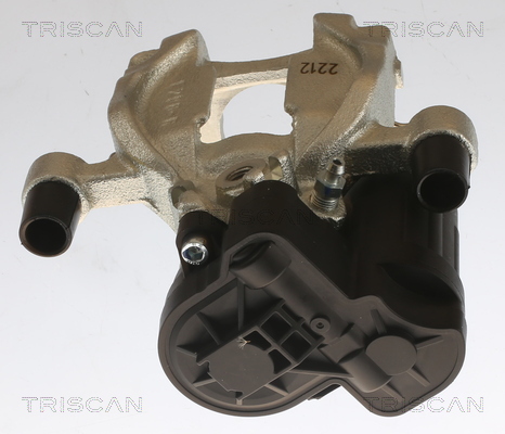 TRISCAN 8175 29240 Bremssattel