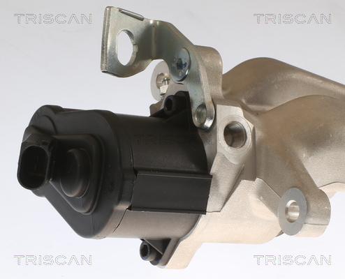 TRISCAN 8175 29241 Bremssattel