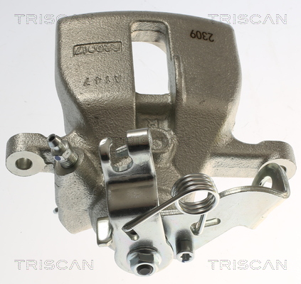 TRISCAN 8175 29246 Bremssattel