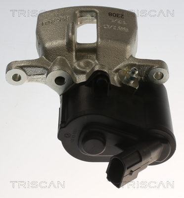 TRISCAN 8175 29249 Bremssattel