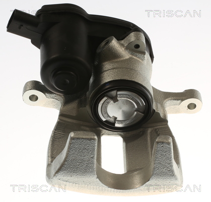 TRISCAN 8175 29251 Bremssattel