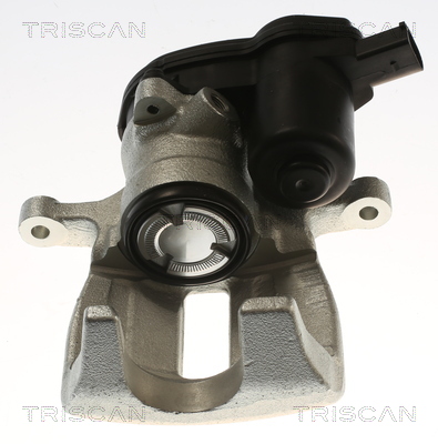 TRISCAN 8175 29252 Bremssattel
