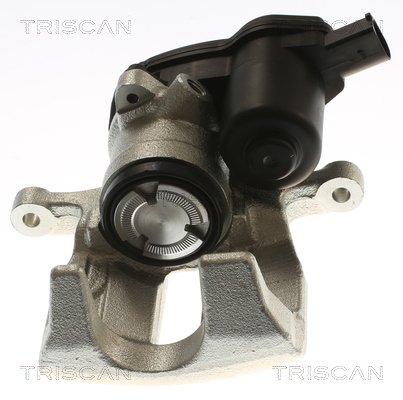 TRISCAN 8175 29254 Bremssattel