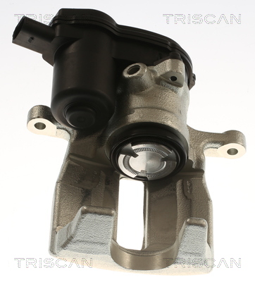 TRISCAN 8175 29255 Bremssattel