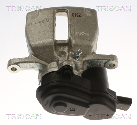 TRISCAN 8175 29256 Bremssattel
