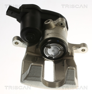 TRISCAN 8175 29257 Bremssattel