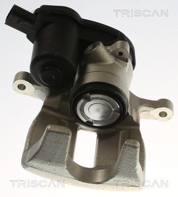 TRISCAN 8175 29259 Bremssattel