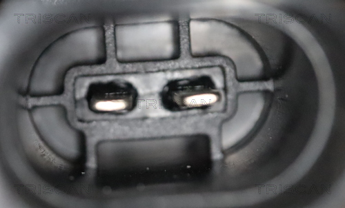 TRISCAN 8175 29259 Bremssattel