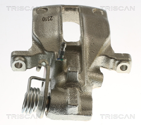 TRISCAN 8175 29270 Bremssattel