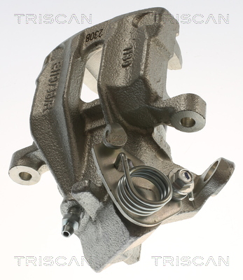 TRISCAN 8175 29272 Bremssattel