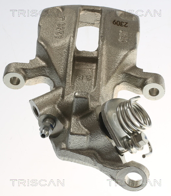 TRISCAN 8175 29273 Bremssattel