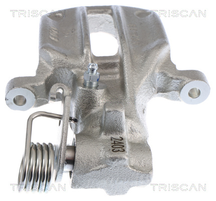 TRISCAN 8175 29276 Bremssattel