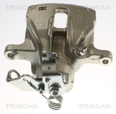 TRISCAN 8175 29289 Bremssattel