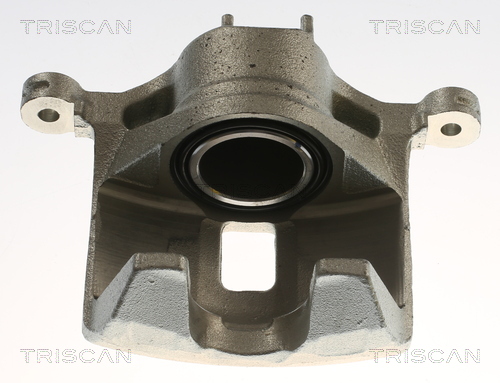 TRISCAN 8175 40101 Bremssattel