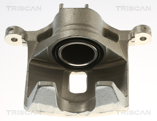 TRISCAN 8175 40102 Bremssattel