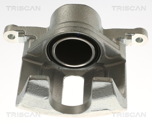 TRISCAN 8175 40106 Bremssattel