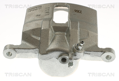 TRISCAN 8175 40106 Bremssattel