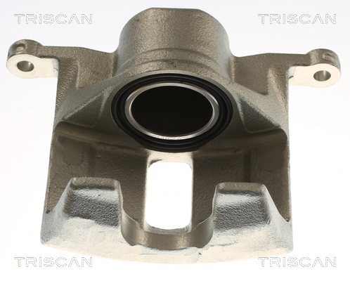 TRISCAN 8175 40110 Bremssattel