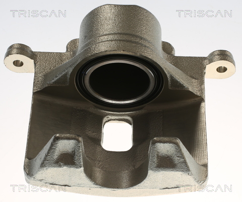 TRISCAN 8175 40117 Bremssattel