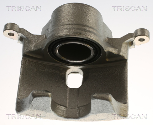 TRISCAN 8175 40119 Bremssattel