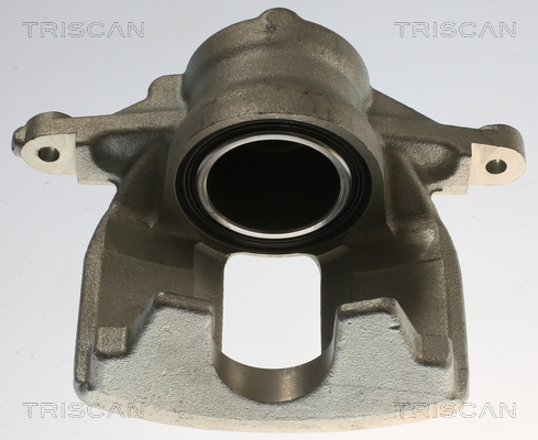 TRISCAN 8175 40121 Bremssattel