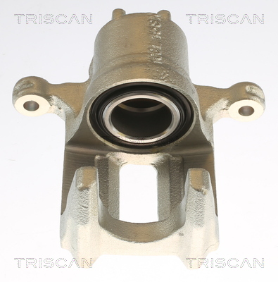 TRISCAN 8175 40203 Bremssattel