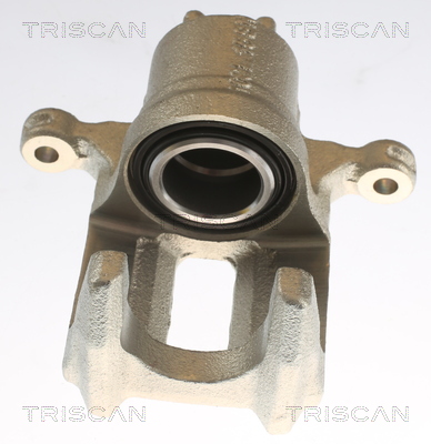 TRISCAN 8175 40204 Bremssattel